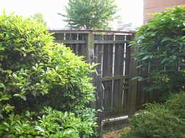 fence16.jpg